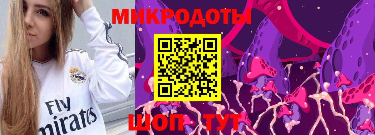 Галлюциногенные грибы Psilocybe Кашира