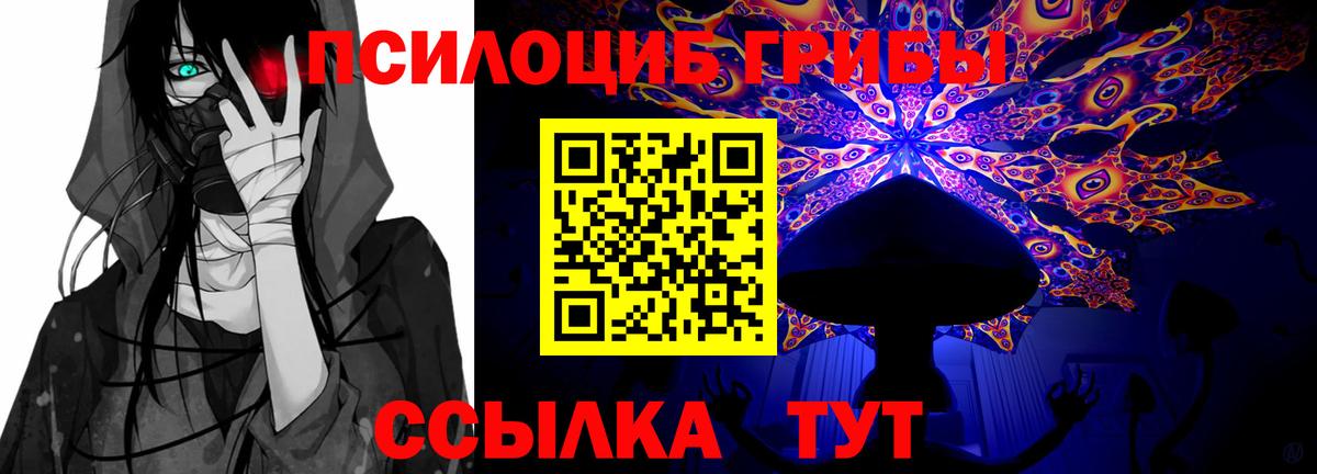 Псилоцибиновые грибы GOLDEN TEACHER  Вход с VPN  Кашира 